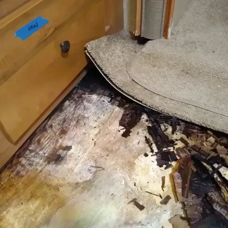 Wood Floor Water Damage in Lakeland Highlands, FL